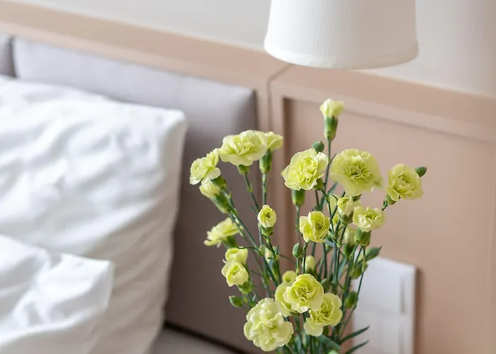 Altus Old Town - Destigo Otel