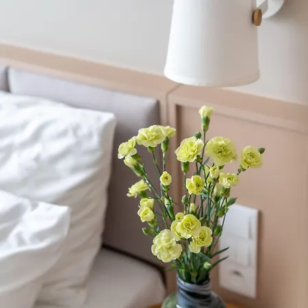 Altus Old Town - Destigo ホテル